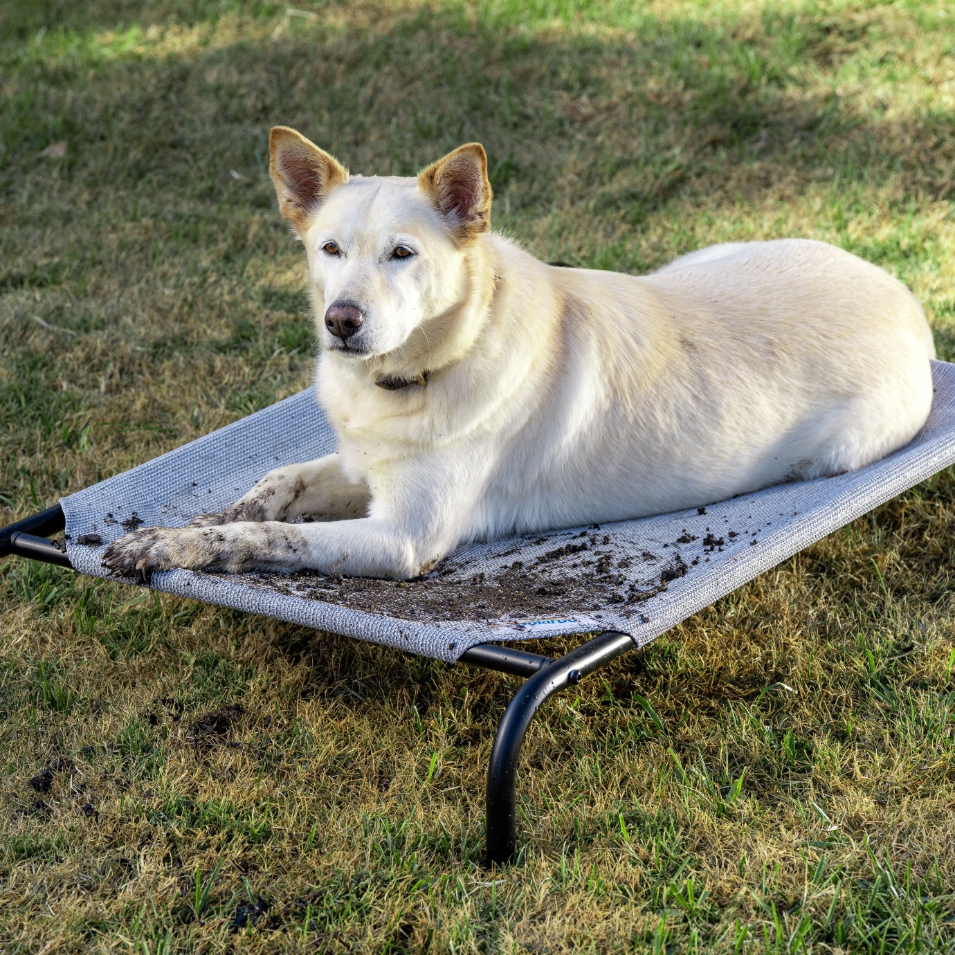 Original Elevated Dog Bed Replacement Cover | Coolaroo